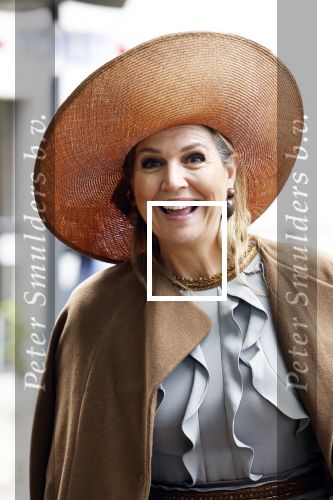 Nuenen 16 mei 2023
Koningin Maxima opent het v Gogh Village Museum in Nuenen.