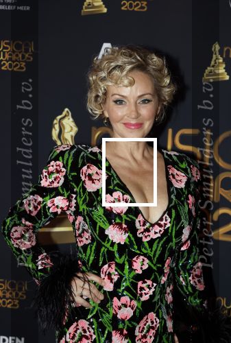 Scheveningen 15 mei 2023
Musicalawards in het AFAS Circustheater.
Lone v Roosendaal kwam met haar man