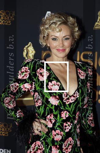 Scheveningen 15 mei 2023
Musicalawards in het AFAS Circustheater.
Lone v Roosendaal kwam met haar man