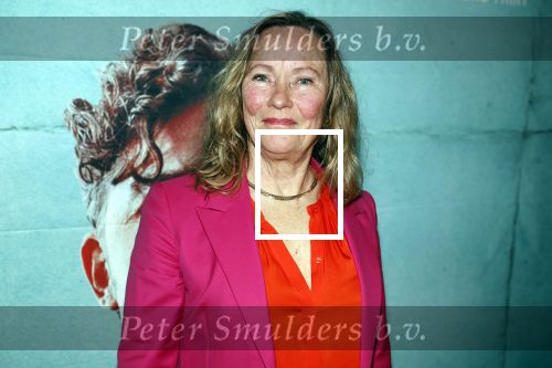 Amsterdam 27 maart 2023
Premiere Man uit Rome in EYE.
Marie Louise Stheins