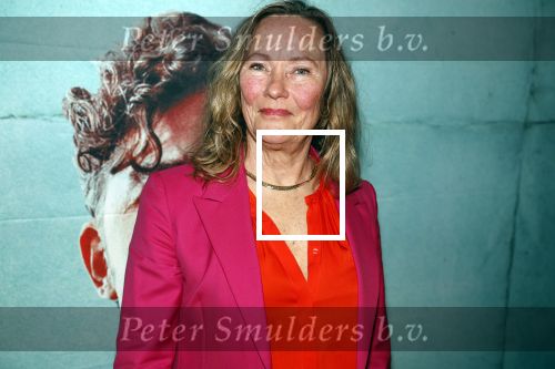 Amsterdam 27 maart 2023
Premiere Man uit Rome in EYE.
Marie Louise Stheins