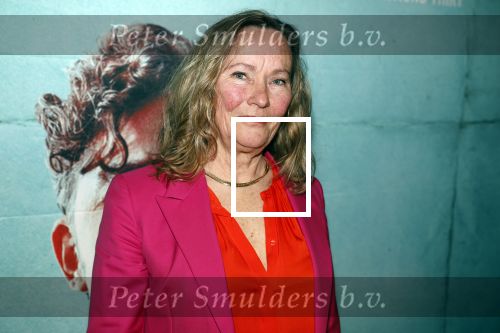 Amsterdam 27 maart 2023
Premiere Man uit Rome in EYE.
Marie Louise Stheins