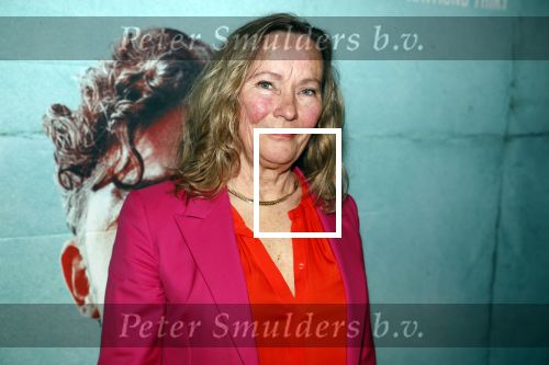 Amsterdam 27 maart 2023
Premiere Man uit Rome in EYE.
Marie Louise Stheins