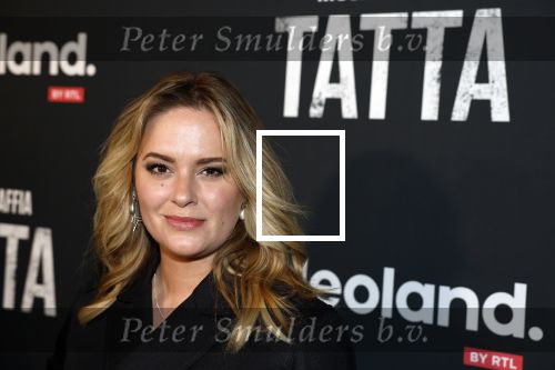 Amsterdam 25 april 2023
Premiere Mocro Maffia Tatta van Videoland.
Marieke Westenenk