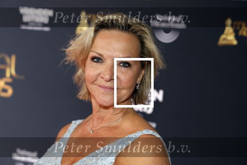 Scheveningen 15 mei 2023
Musicalawards in het AFAS Circustheater.
Mariska v Kolck met haar nieuwe vriend