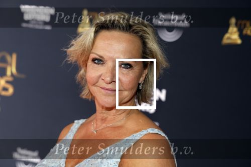 Scheveningen 15 mei 2023
Musicalawards in het AFAS Circustheater.
Mariska v Kolck met haar nieuwe vriend