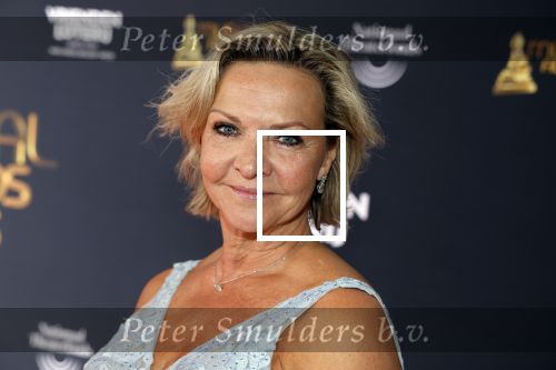 Scheveningen 15 mei 2023
Musicalawards in het AFAS Circustheater.
Mariska v Kolck met haar nieuwe vriend