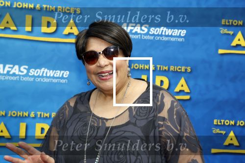 Scheveningen 23 april 2023
Premiere AIDA in het circustheater in Scheveningen .
Marjorie Barnes