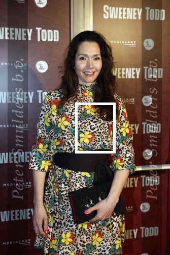 Amsterdam 21 april 2023
Premiere Sweeney Todd in het DeLaMar theater geproduceerd door Medialane.
Meriyem Manders