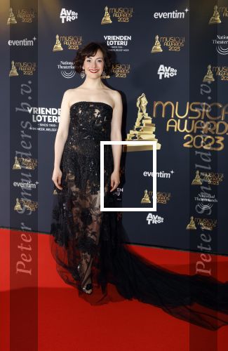 Scheveningen 15 mei 2023
Musicalawards in het AFAS Circustheater.
Nandi v Beurden