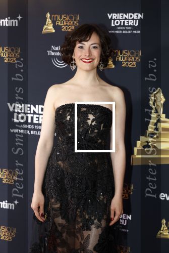 Scheveningen 15 mei 2023
Musicalawards in het AFAS Circustheater.
Nandi v Beurden