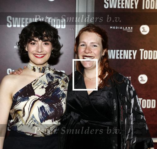Amsterdam 21 april 2023
Premiere Sweeney Todd in het DeLaMar theater geproduceerd door Medialane.
nandi v Beurden