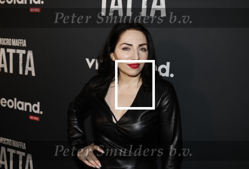 Amsterdam 25 april 2023
Premiere Mocro Maffia Tatta van Videoland.
Nazmiye Oral