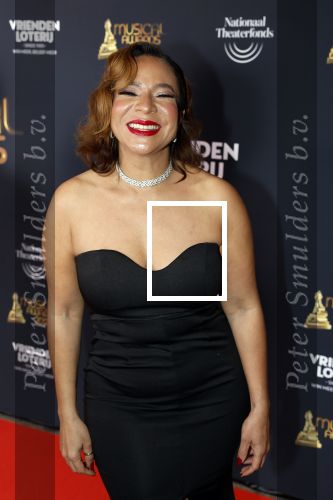Scheveningen 15 mei 2023
Musicalawards in het AFAS Circustheater.
Nurlaila