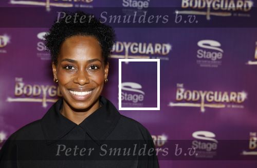 Amsterdam 21 februari 2023
Presentatie cast musical the Bodyguard . Oa Nurlaila Kareem en Tarikh Janssen spelen mee.
Nyassa Alberta