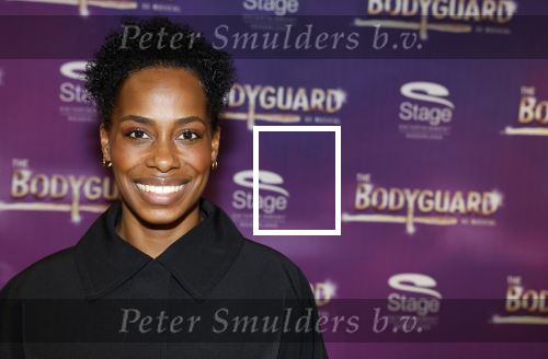 Amsterdam 21 februari 2023
Presentatie cast musical the Bodyguard . Oa Nurlaila Kareem en Tarikh Janssen spelen mee.
Nyassa Alberta
