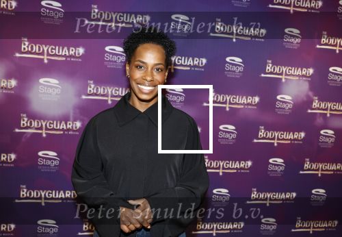 Amsterdam 21 februari 2023
Presentatie cast musical the Bodyguard . Oa Nurlaila Kareem en Tarikh Janssen spelen mee.
Nyassa Alberta