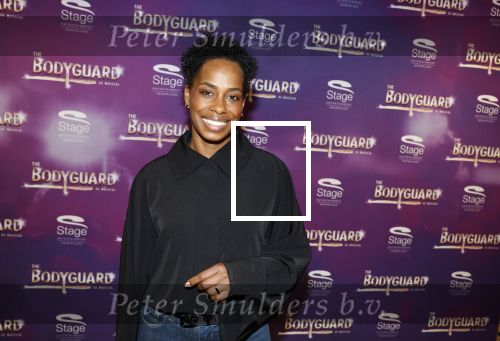 Amsterdam 21 februari 2023
Presentatie cast musical the Bodyguard . Oa Nurlaila Kareem en Tarikh Janssen spelen mee.
Nyassa Alberta