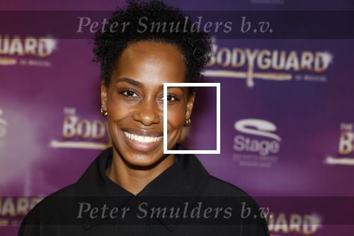 Amsterdam 21 februari 2023
Presentatie cast musical the Bodyguard . Oa Nurlaila Kareem en Tarikh Janssen spelen mee.
Nyassa Alberta