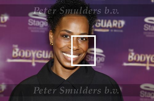 Amsterdam 21 februari 2023
Presentatie cast musical the Bodyguard . Oa Nurlaila Kareem en Tarikh Janssen spelen mee.
Nyassa Alberta