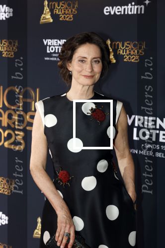 Scheveningen 15 mei 2023
Musicalawards in het AFAS Circustheater.
Pia Douwes