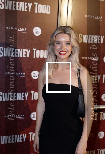 Amsterdam 21 april 2023
Premiere Sweeney Todd in het DeLaMar theater geproduceerd door Medialane.