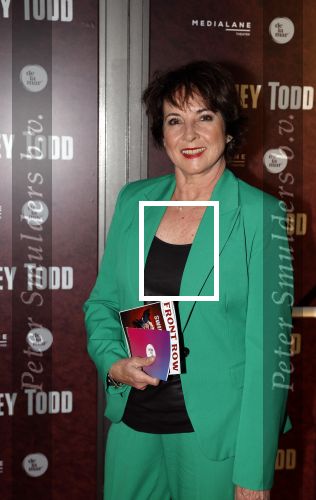 Amsterdam 21 april 2023
Premiere Sweeney Todd in het DeLaMar theater geproduceerd door Medialane.