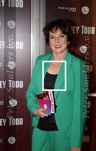 Amsterdam 21 april 2023
Premiere Sweeney Todd in het DeLaMar theater geproduceerd door Medialane.