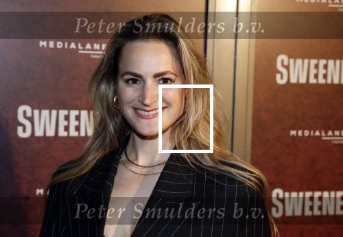 Amsterdam 21 april 2023
Premiere Sweeney Todd in het DeLaMar theater geproduceerd door Medialane.