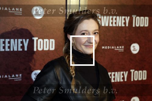 Amsterdam 21 april 2023
Premiere Sweeney Todd in het DeLaMar theater geproduceerd door Medialane.
Priscilla Knetemann met man