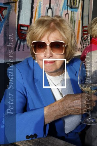 Kortenhoef 29 april 2023
Presntatie tijdschrift Nicole des Bouvrie bij Ottenhome.
Ria Valk met partner