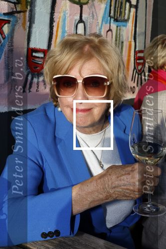 Kortenhoef 29 april 2023
Presntatie tijdschrift Nicole des Bouvrie bij Ottenhome.
Ria Valk met partner