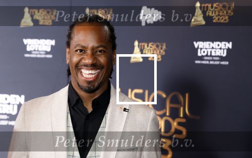 Scheveningen 15 mei 2023
Musicalawards in het AFAS Circustheater.
Rogier Komproe
