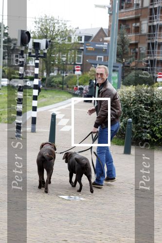 Scheveningen 23 april 2023
Rogier Smit met zijn twee honden