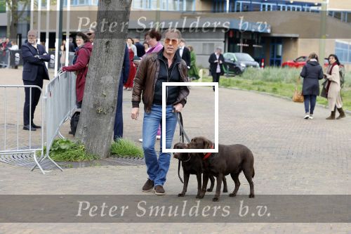 Scheveningen 23 april 2023
Rogier Smit met zijn twee honden