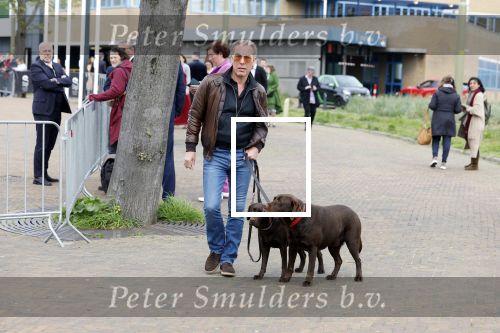 Scheveningen 23 april 2023
Rogier Smit met zijn twee honden
