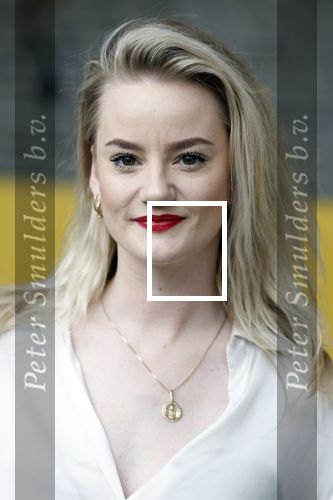Amstelveen 1 mei 2023
Musical lunch met genomineerden voor Musicalawrd in schouwburg Amstelveen.
Sanne Franssen