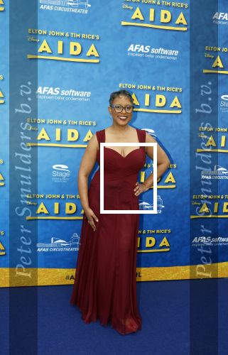 Scheveningen 23 april 2023
Premiere AIDA in het circustheater in Scheveningen .
Schele Williams