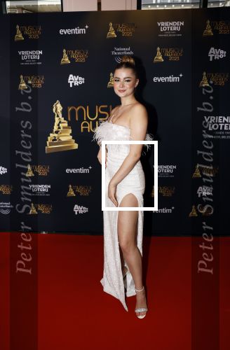 Scheveningen 15 mei 2023
Musicalawards in het AFAS Circustheater.
Stefania
