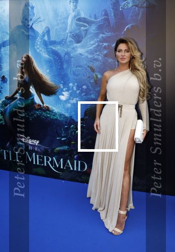 Amsterdam 23 mei 2023
Premiere Little Mermaid in Tuschinski.
Sylvia Geersen en partner Joris Smits