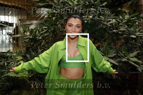 Amsterdam 26 april 2023
Presentatie cast verliefd op Bali in hotel Jakarta. 
Tara Hetharia