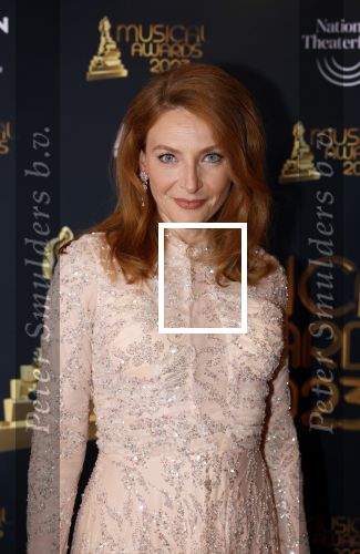 Scheveningen 15 mei 2023
Musicalawards in het AFAS Circustheater.
Willemijn Verkaik