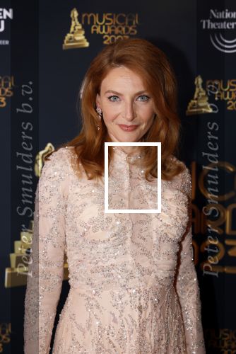 Scheveningen 15 mei 2023
Musicalawards in het AFAS Circustheater.
Willemijn Verkaik