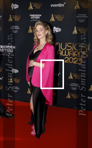 Scheveningen 15 mei 2023
Musicalawards in het AFAS Circustheater.
William Spaaij met zijn zwangere vriendin