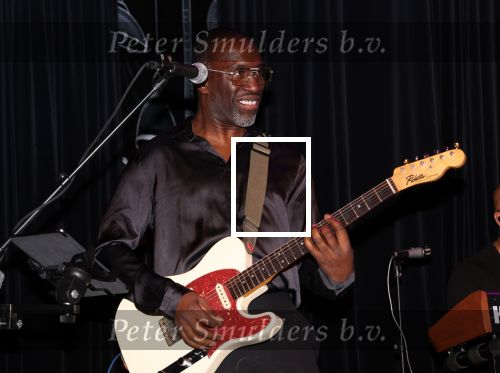 Amsterdam, 2 April 2024
Voorstelling Ladies of Soul
Alvin Lewis