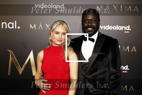 Amsterdam 15 april 2024
Premiere serie Maxima van Videoland in Tuschinski. Aanwezig oa Delfina Chaves en Martijn Lakemeier . Andre Dongelmans en dinfie Hek