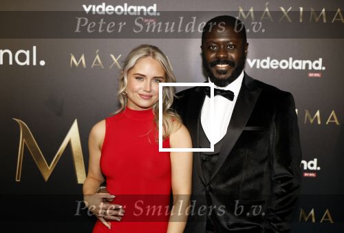 Amsterdam 15 april 2024
Premiere serie Maxima van Videoland in Tuschinski. Aanwezig oa Delfina Chaves en Martijn Lakemeier . Andre Dongelmans en dinfie Hek