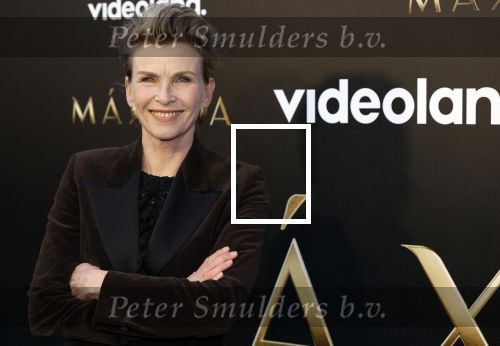 Amsterdam 15 april 2024
Premiere serie Maxima van Videoland in Tuschinski. Aanwezig oa Delfina Chaves en Martijn Lakemeier . Anita Witzier kwam met haar dochter