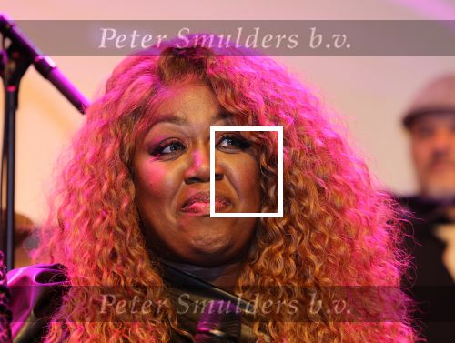 Amsterdam, 2 April 2024
Voorstelling Ladies of Soul
Berget Lewis