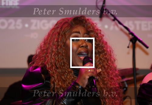 Amsterdam, 2 April 2024
Voorstelling Ladies of Soul
Berget Lewis